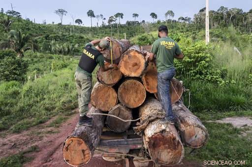 Scientists Warn New Brazilian President May Threaten the Amazon Rainforest