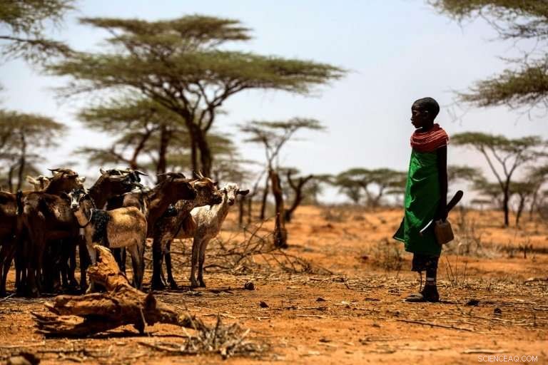 UN Warns: Global Warming Escalates Faster Than Mitigation Efforts