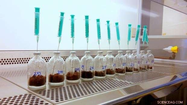 Unraveling a New Mystery in Permafrost Gas Emissions