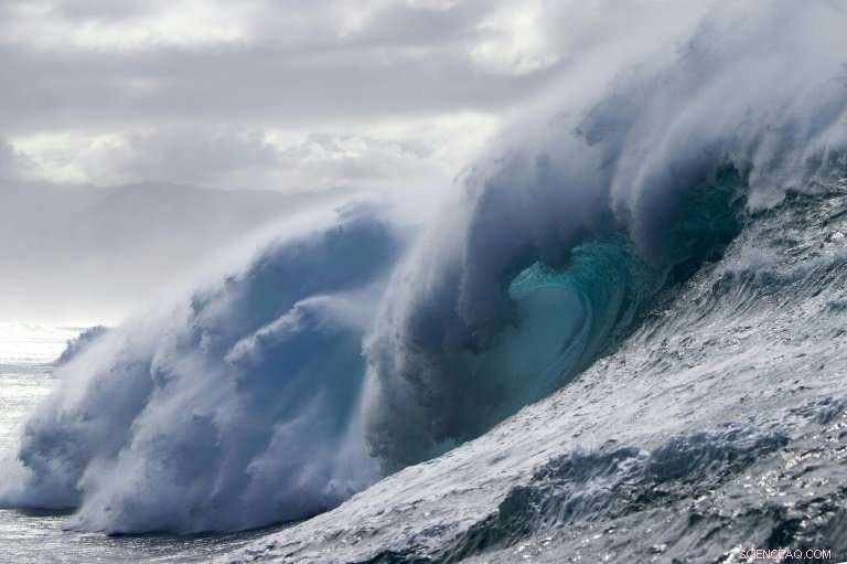 UN Forecasts 75–80% Chance of Moderate El Nino in Next Three Months