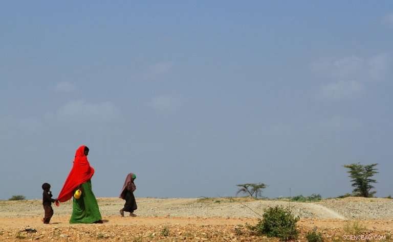 UN Forecasts 75–80% Chance of Moderate El Nino in Next Three Months