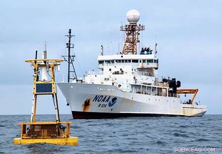 Tracing Carbon from Ocean Surface to Depths: Insights into Marine Carbon Dynamics