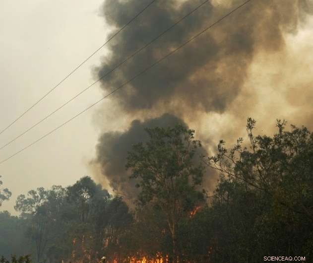 Thousands Evacuated Amid Scorching Queensland Bushfires