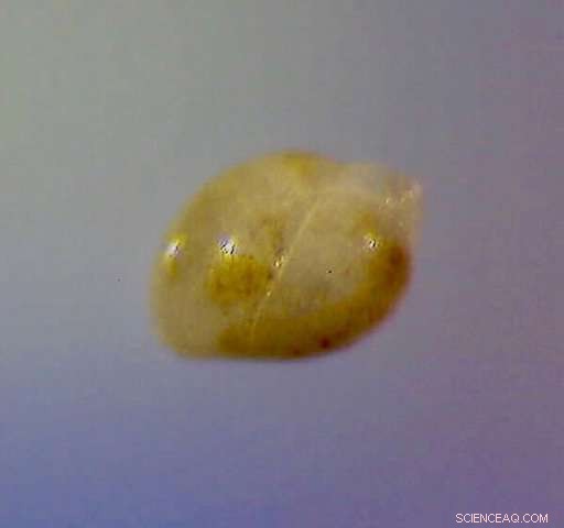 North Atlantic Ocean Circulation: Examining the Weakest Phase