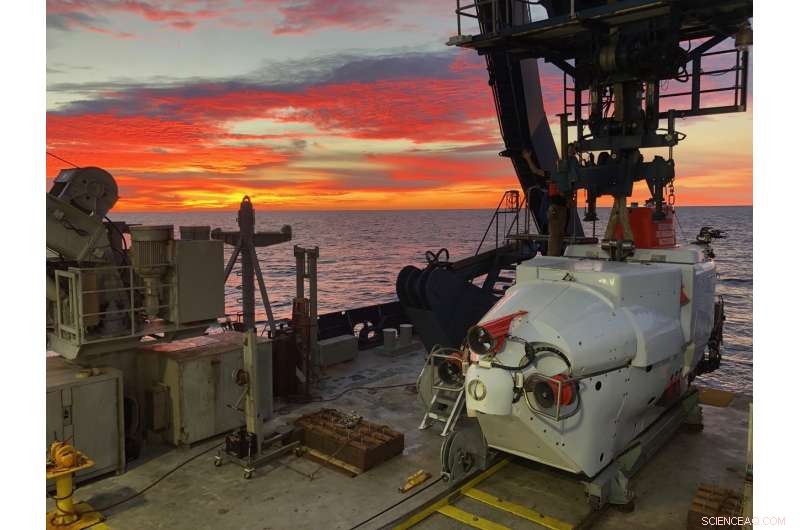 Deep-Sea Microbes: New Discovery Shows Potential to Consume Greenhouse Gases and Oil Spills