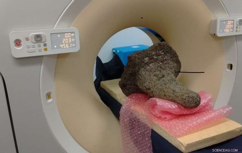 Termite Mounds as Natural Methane Filters: Implications for Greenhouse Gas Management