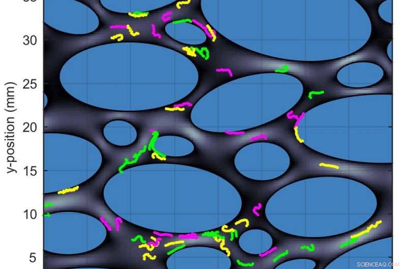WSU Researchers Develop First Comprehensive Model of Plastic Waste Migration