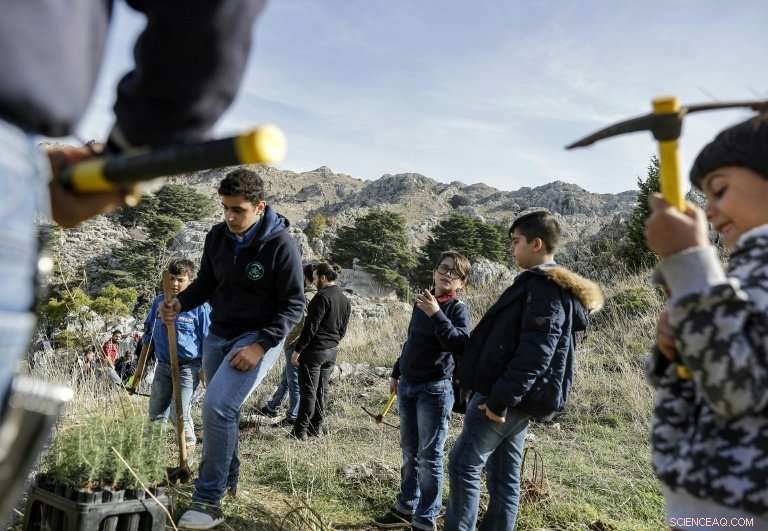 Climate Change Threatens Lebanon s Legendary Cedar Trees