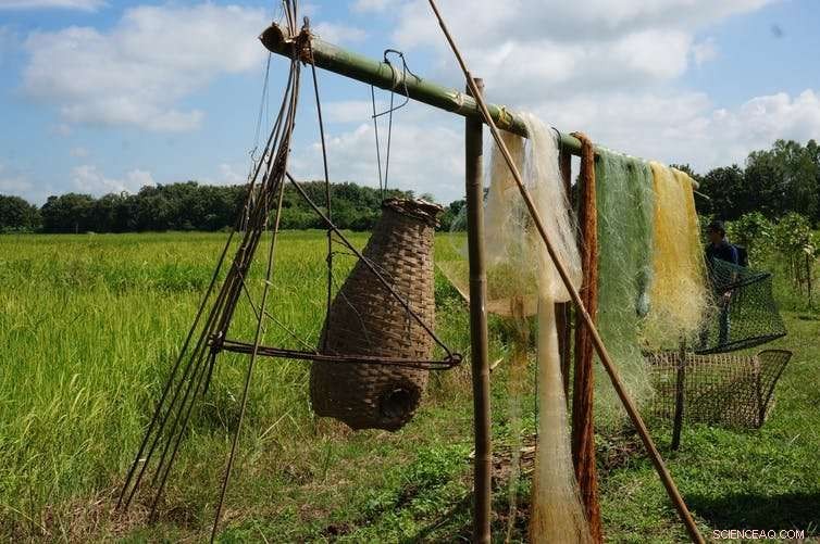 Sustainable Seafood: Enjoying Fish While Combating Climate Change