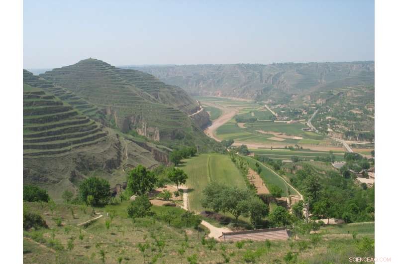 Tillage and Mulching Propel China s Potatoes Forward