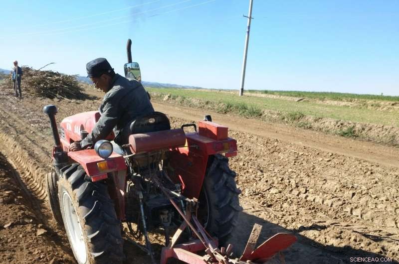 Tillage and Mulching Propel China s Potatoes Forward