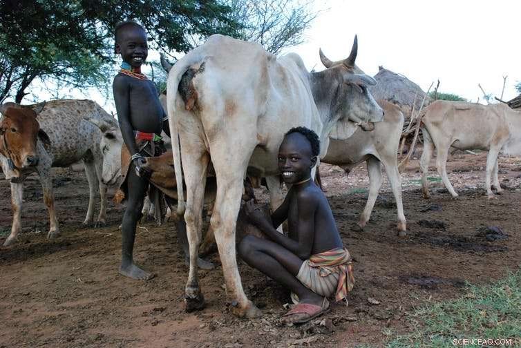 Controversial Dam Raises Alarm: Could Africa Replicate Its Worst Environmental Disaster