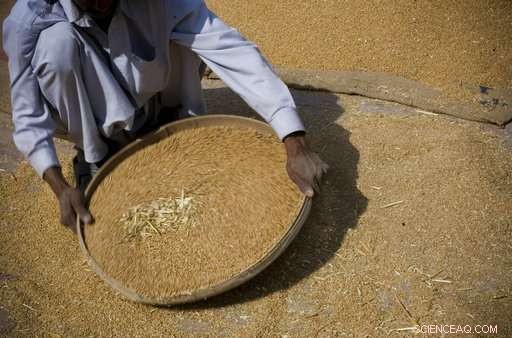 UN Report: Fragile Climate Threatens Global Food Security