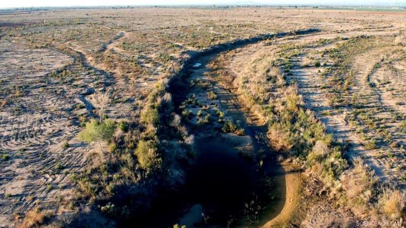 Urgent Climate Report Calls for Immediate Action