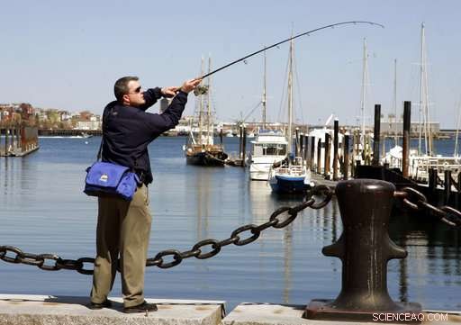 Tumor-Free Flounder Reveal Boston Harbor’s Ecological Recovery
