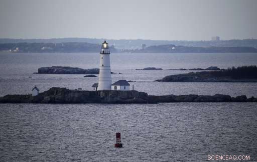 Tumor-Free Flounder Reveal Boston Harbor’s Ecological Recovery