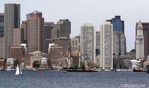 Tumor-Free Flounder Reveal Boston Harbor’s Ecological Recovery