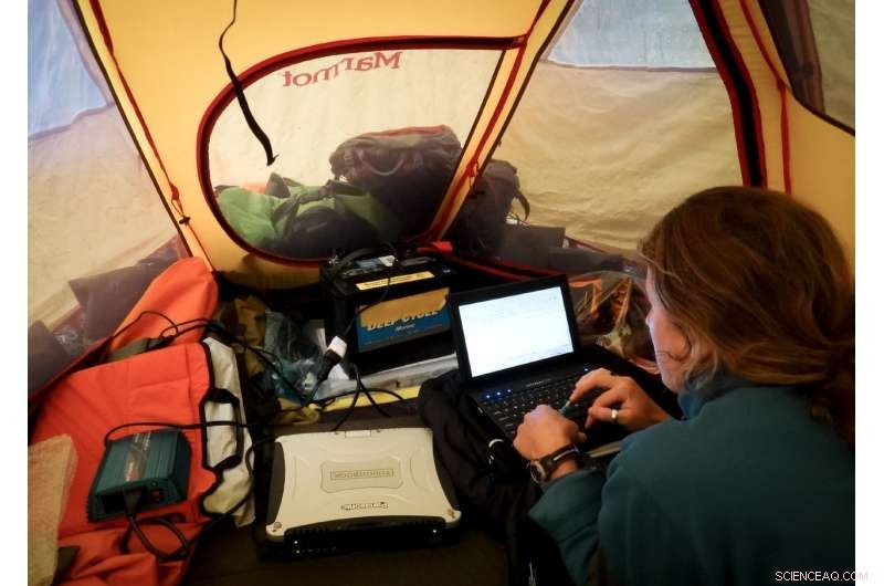 Alaskan Forests Show Promise: Ecologist Discovers Optimism Amid Climate Challenges