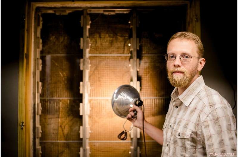 Wetland Specialists Highlight Critical Role of Carbon Sinks in the Carbon Cycle – Findings from the Latest Report