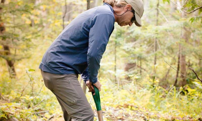 Wetland Specialists Highlight Critical Role of Carbon Sinks in the Carbon Cycle – Findings from the Latest Report