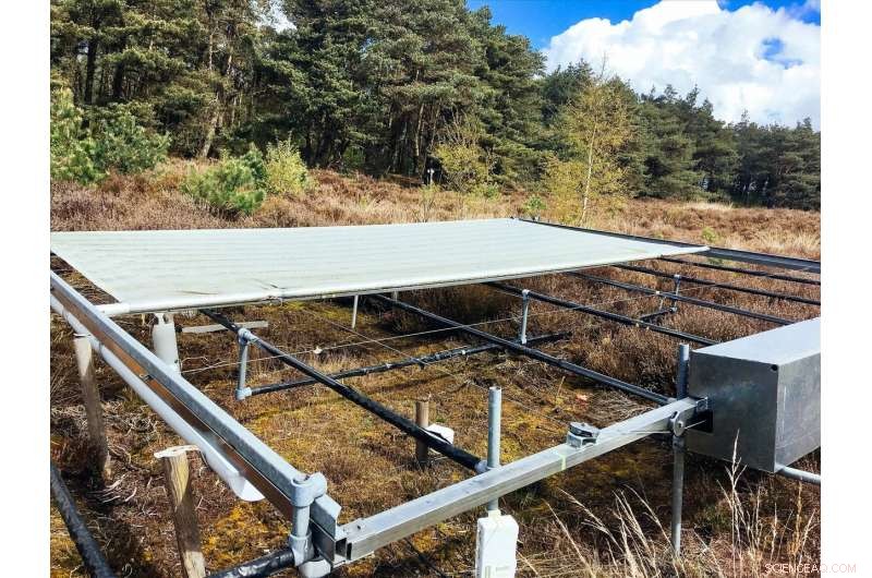 Historical Climate Shapes Soil Responses to Future Climate Change