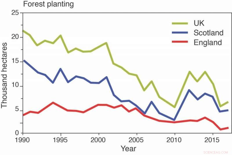 COP24: Tree Planting Is Key to Meeting the UK’s Climate Commitments