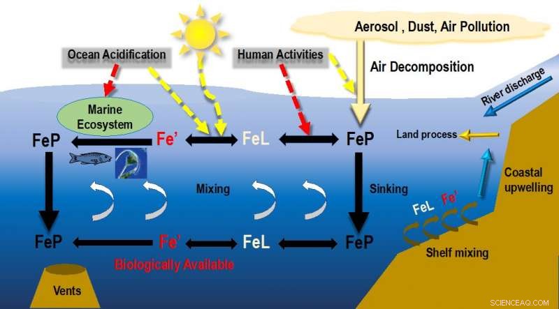 Mapping Iron Distribution in the North Pacific Ocean