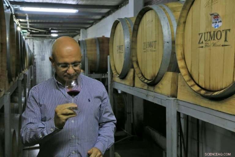 Reviving Jordan’s Biblical Wine Tradition: Desert Winemakers Lead the Charge