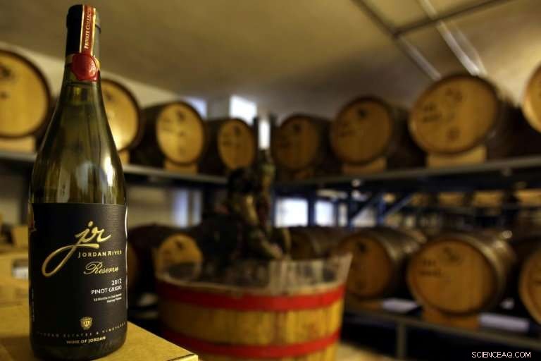 Reviving Jordan’s Biblical Wine Tradition: Desert Winemakers Lead the Charge