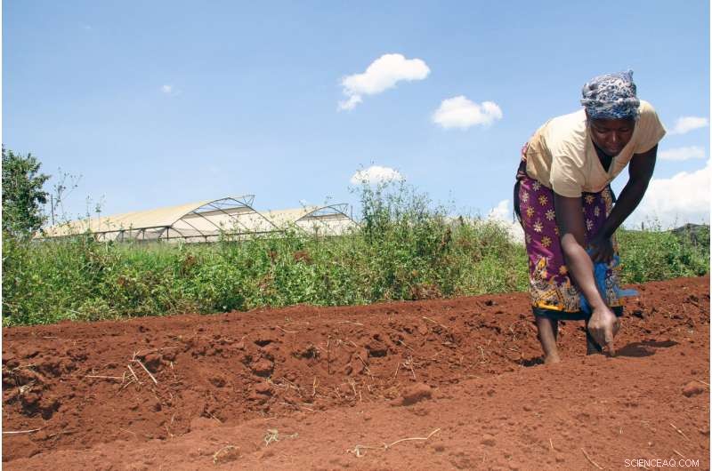 Scientists Urge Eight Key Steps to Boost Soil Carbon for Climate Resilience and Food Security