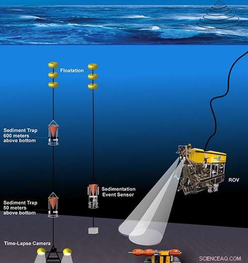 Undocumented Deep-Sea Carbon Fluxes Expose Gaps in Global Climate Models