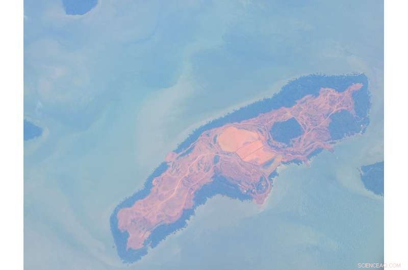 Sustainable Palm Oil Fails to Stop Deforestation, New Study Shows