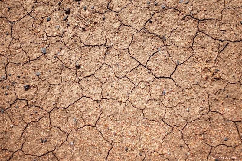 Will Future Food be Grown Without Soil? Exploring 100-Year Horizons