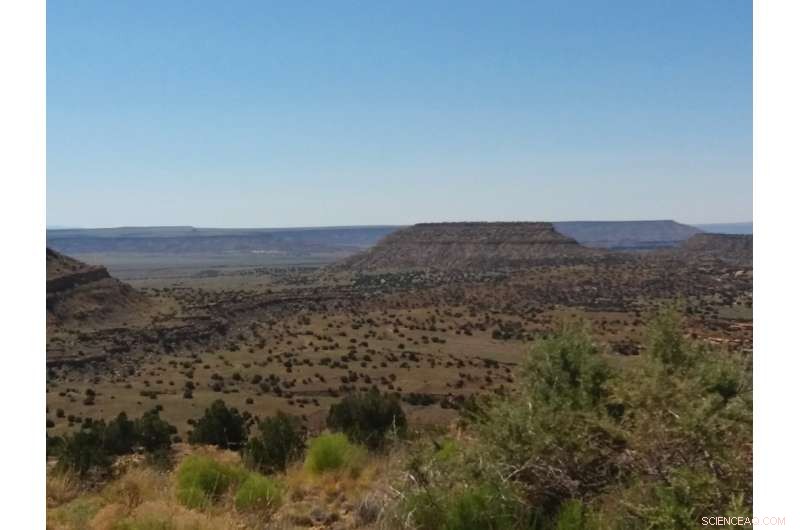 Risk of Uranium Dust Dissolving in Lungs at Historic New Mexico Mines