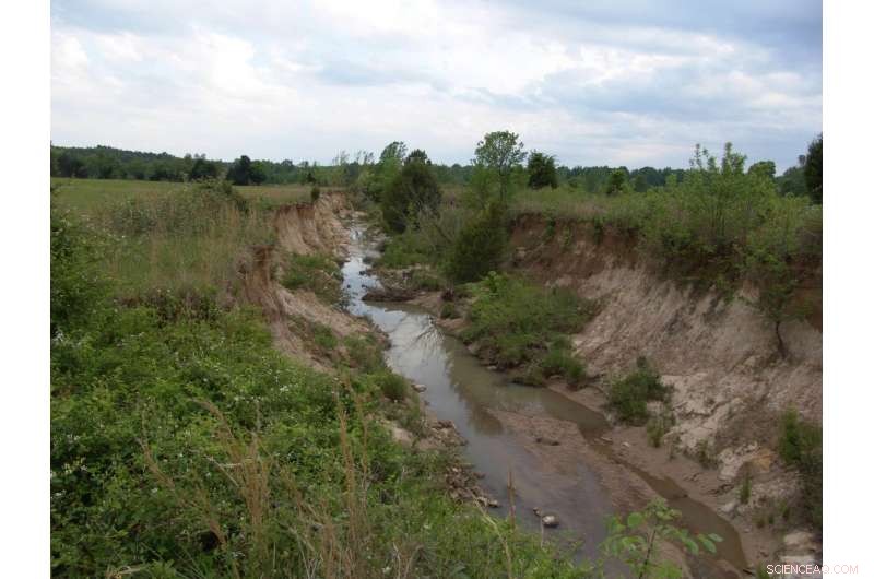 Nationwide Threat: Agricultural Insecticides Endanger U.S. Surface Water Integrity