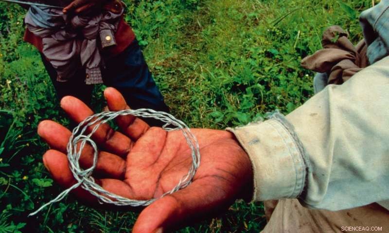 Infrastructure Development: Uncovering Hidden Costs That Fuel Illegal Wildlife Trade