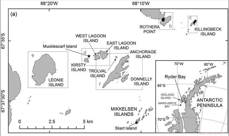 Unexpected Surge in Seabird Populations on the Antarctic Peninsula