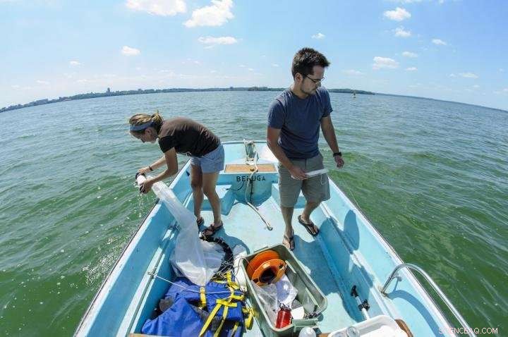 Tracking Invasive Spiny Water Fleas in Lake Mendota: A Challenging Environmental Quest