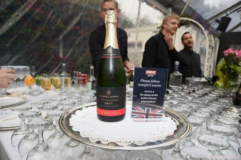 How Climate Change Is Expanding Opportunities for English Winemakers