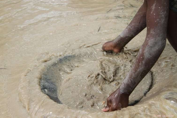 Madagascar: Escalating Fear and Violence Hinder Critical Rainforest Conservation Efforts