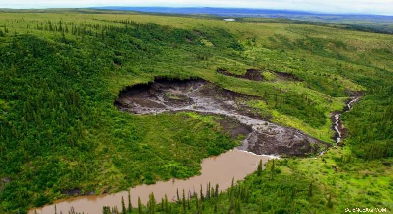Permafrost Thaw in Canada Releases Record Mercury Levels, Study Finds