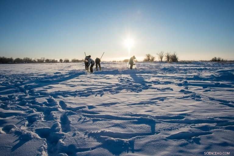 Ice: The Essential Lifeline for Siberia’s Coldest Regions
