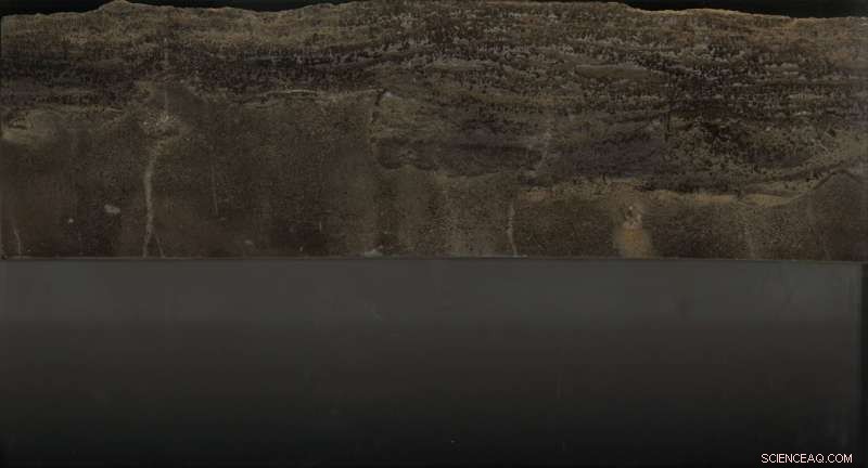 Global Warming Drives Largest Mass Extinction, Ousting Millions of Marine Species