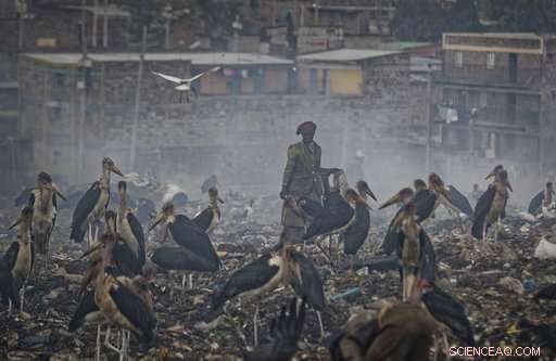 Africa’s Rapidly Growing Solid Waste Crisis: A Looming Climate Threat