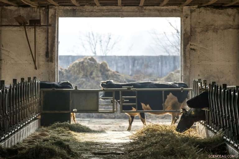 German Farmers Sue Government Over Climate Target Misses