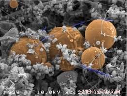 Underground Biosphere Holds Carbon Reserves Hundreds of Times Greater Than Humans