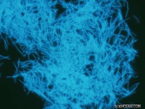 Underground Biosphere Holds Carbon Reserves Hundreds of Times Greater Than Humans