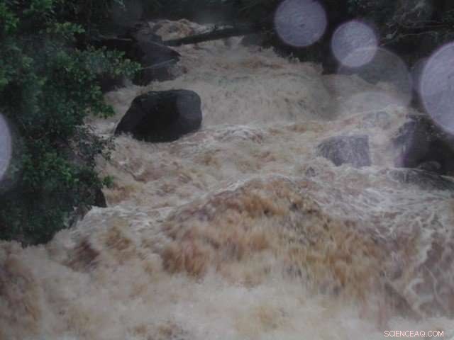 New Study Reveals Surprising Effects of Hurricanes on Puerto Rico s Watershed