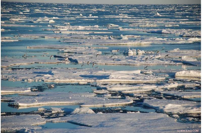 Can We Save the Greenland Ice Sheet? A New Optimistic Outlook