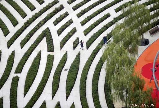 Milan s Ambitious Green Initiative: Planting Trees for a Cleaner Future